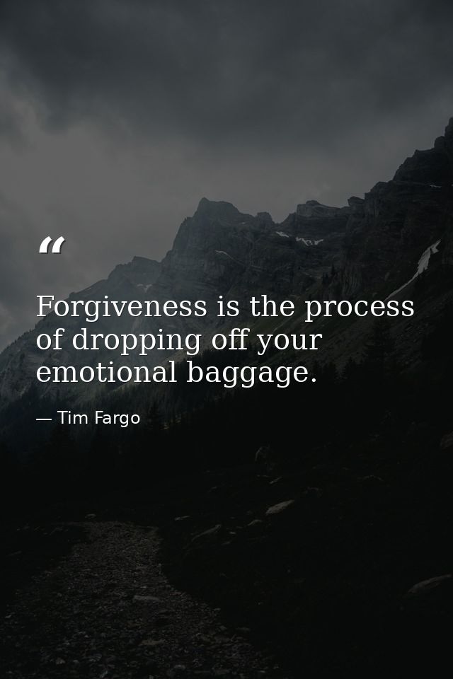 Forgiveness is the process of dropping off your emotional baggage. — Tim Fargo