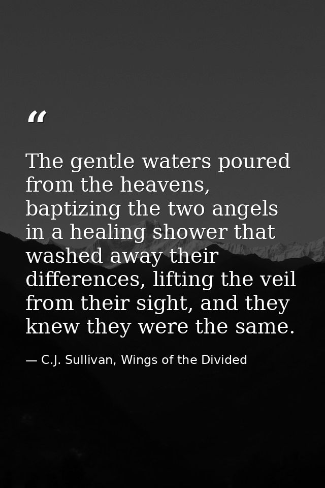 The gentle waters poured from the heavens, baptizing the two angels in a healing shower that washed away their differenc — C.J. Sullivan, Wings of the Divided