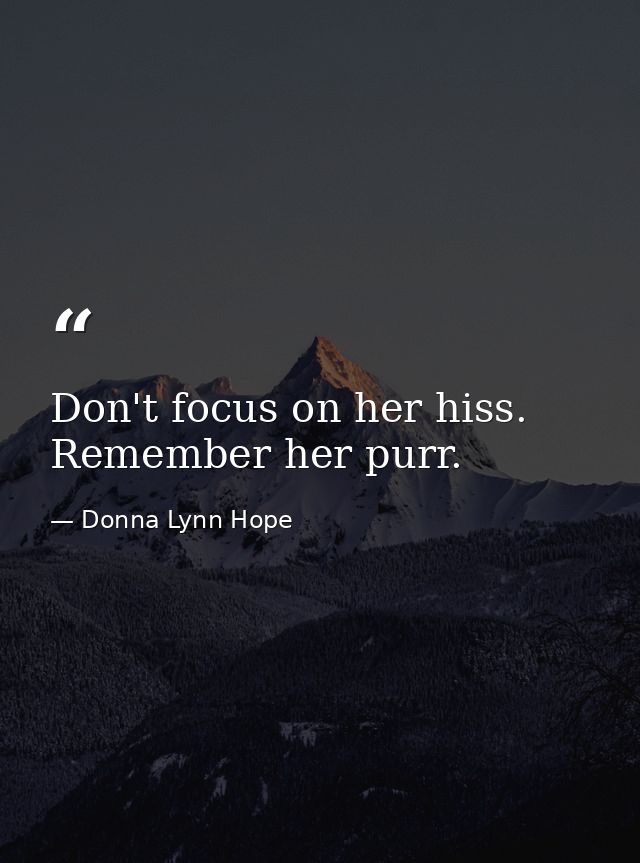 Don't focus on her hiss. Remember her purr. — Donna Lynn Hope