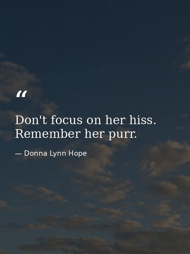 Don't focus on her hiss. Remember her purr. — Donna Lynn Hope