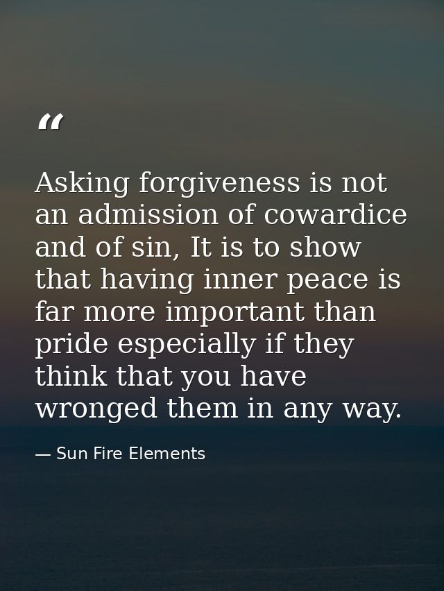 Asking forgiveness is not an admission of cowardice and of sin, It is to show that having inner peace is far more import — Sun Fire Elements