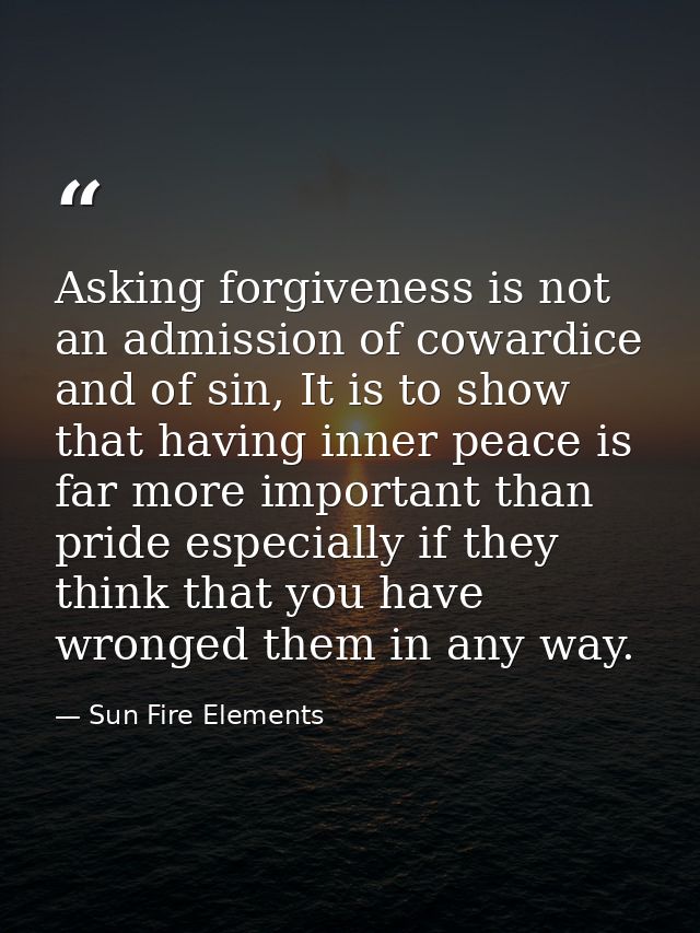 Asking forgiveness is not an admission of cowardice and of sin, It is to show that having inner peace is far more import — Sun Fire Elements