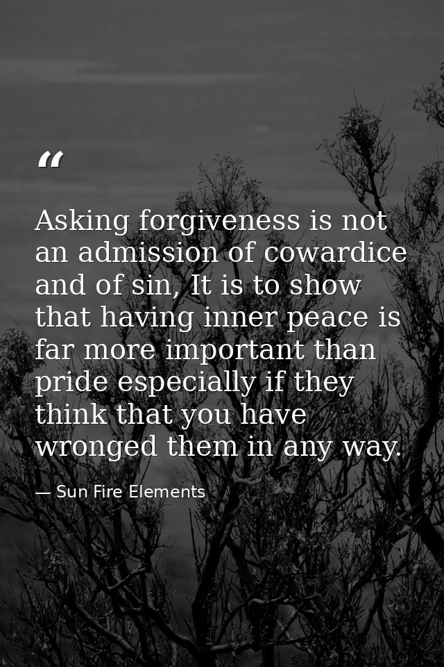 Asking forgiveness is not an admission of cowardice and of sin, It is to show that having inner peace is far more import — Sun Fire Elements