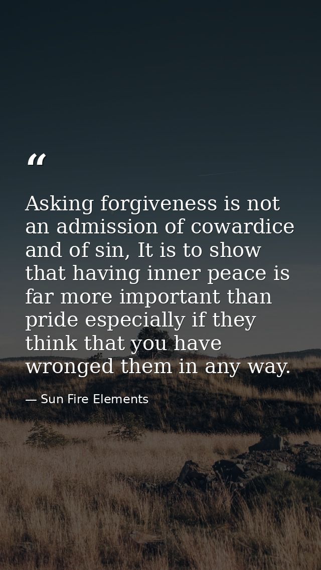 Asking forgiveness is not an admission of cowardice and of sin, It is to show that having inner peace is far more import — Sun Fire Elements