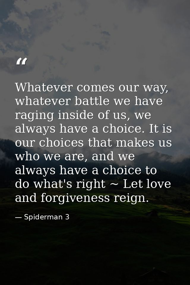 Whatever comes our way, whatever battle we have raging inside of us, we always have a choice. It is our choices that mak — Spiderman 3