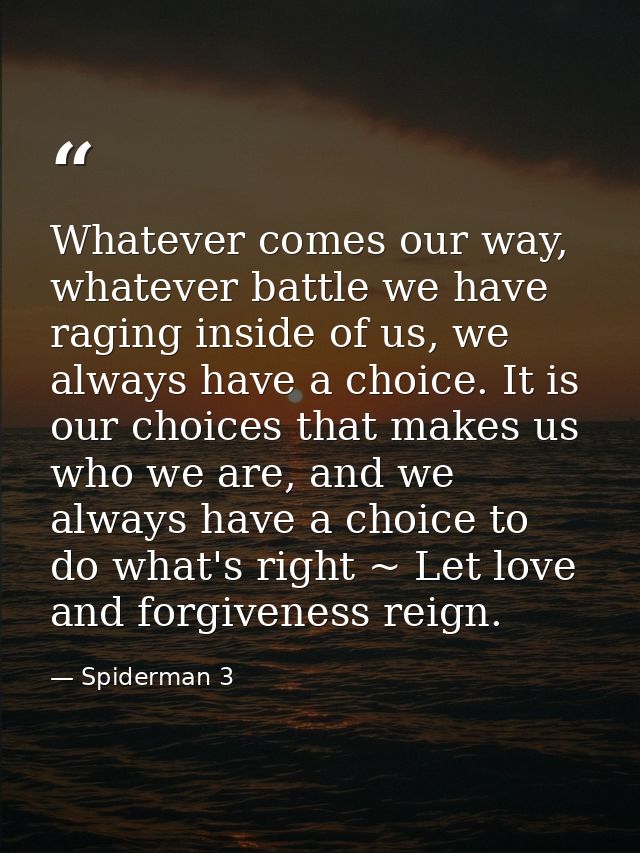 Whatever comes our way, whatever battle we have raging inside of us, we always have a choice. It is our choices that mak — Spiderman 3
