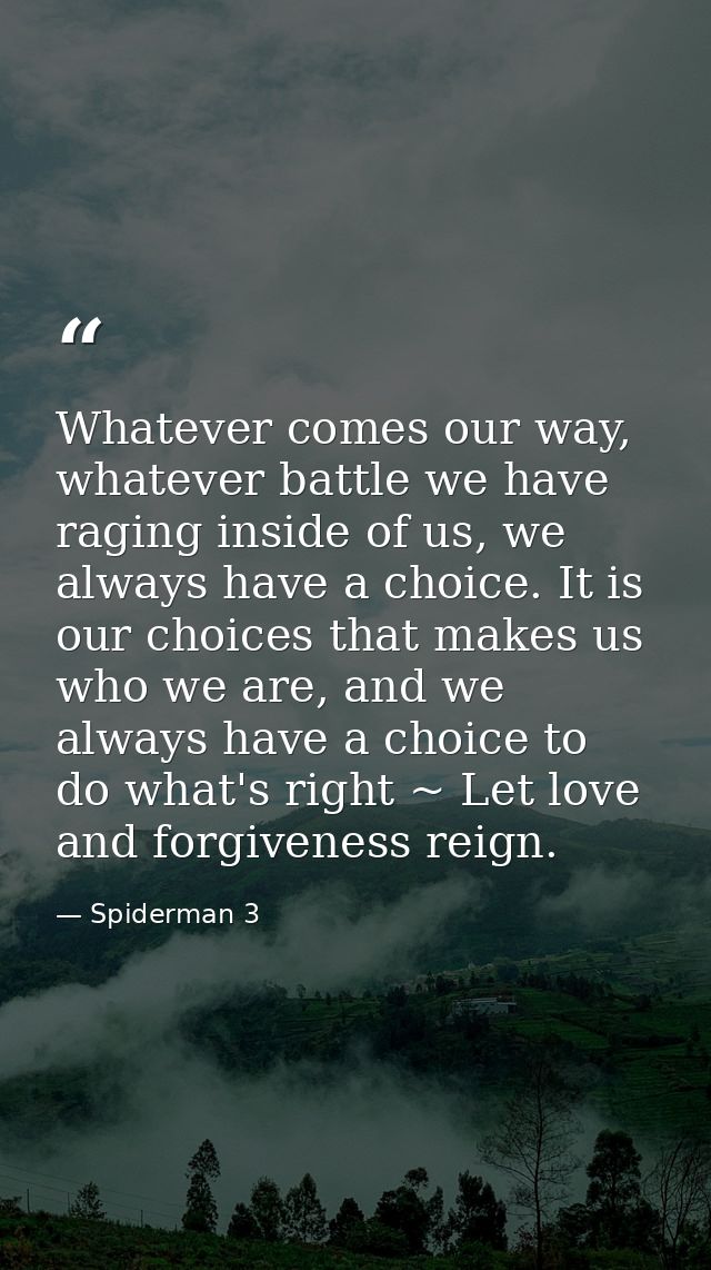 Whatever comes our way, whatever battle we have raging inside of us, we always have a choice. It is our choices that mak — Spiderman 3