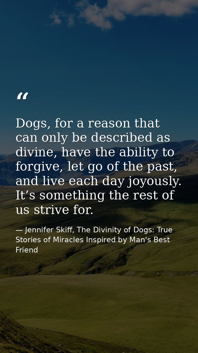 Dogs, for a reason that can only be described as divine, have the ability to forgive, let go of the past, and live each  — Jennifer Skiff, The Divinity of Dogs: True Stories of Miracles Inspired by Man's Best Friend