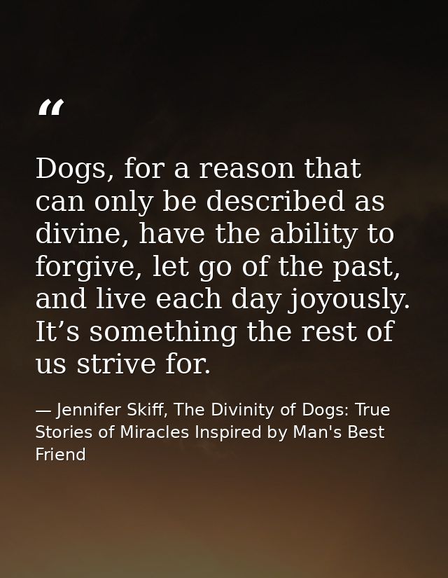 Dogs, for a reason that can only be described as divine, have the ability to forgive, let go of the past, and live each  — Jennifer Skiff, The Divinity of Dogs: True Stories of Miracles Inspired by Man's Best Friend