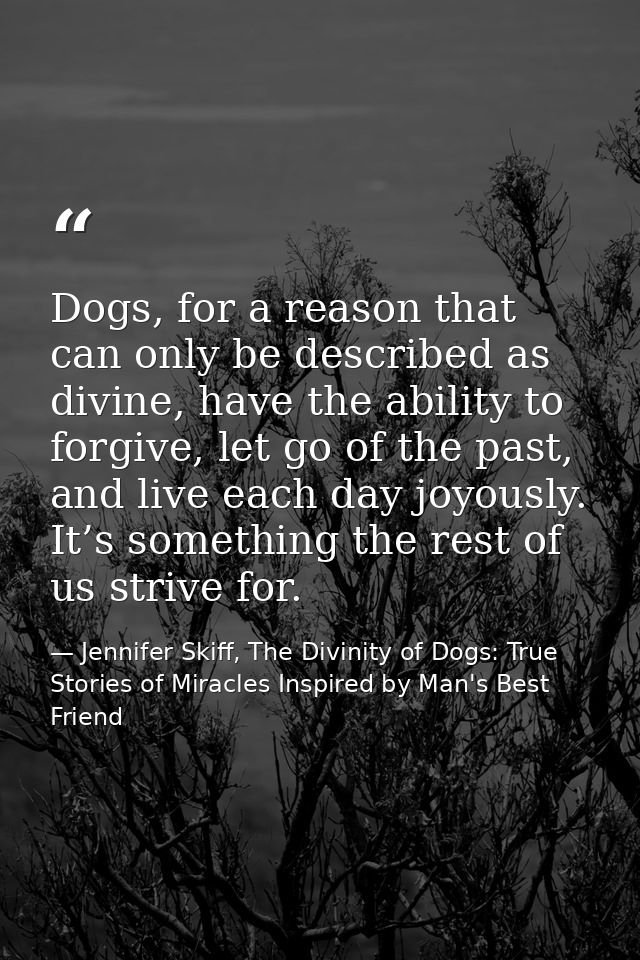 Dogs, for a reason that can only be described as divine, have the ability to forgive, let go of the past, and live each  — Jennifer Skiff, The Divinity of Dogs: True Stories of Miracles Inspired by Man's Best Friend