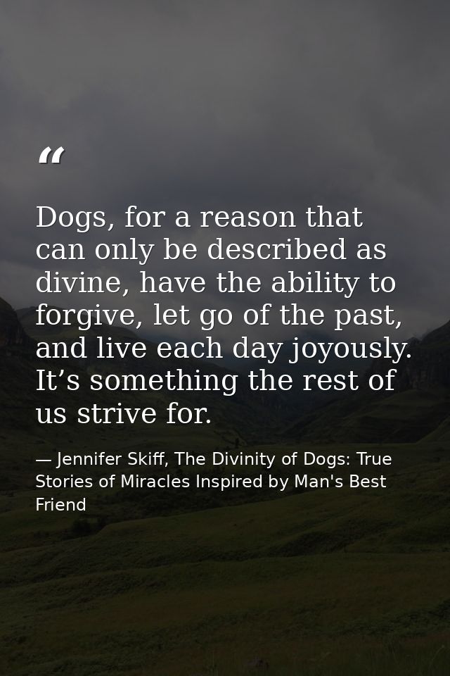 Dogs, for a reason that can only be described as divine, have the ability to forgive, let go of the past, and live each  — Jennifer Skiff, The Divinity of Dogs: True Stories of Miracles Inspired by Man's Best Friend