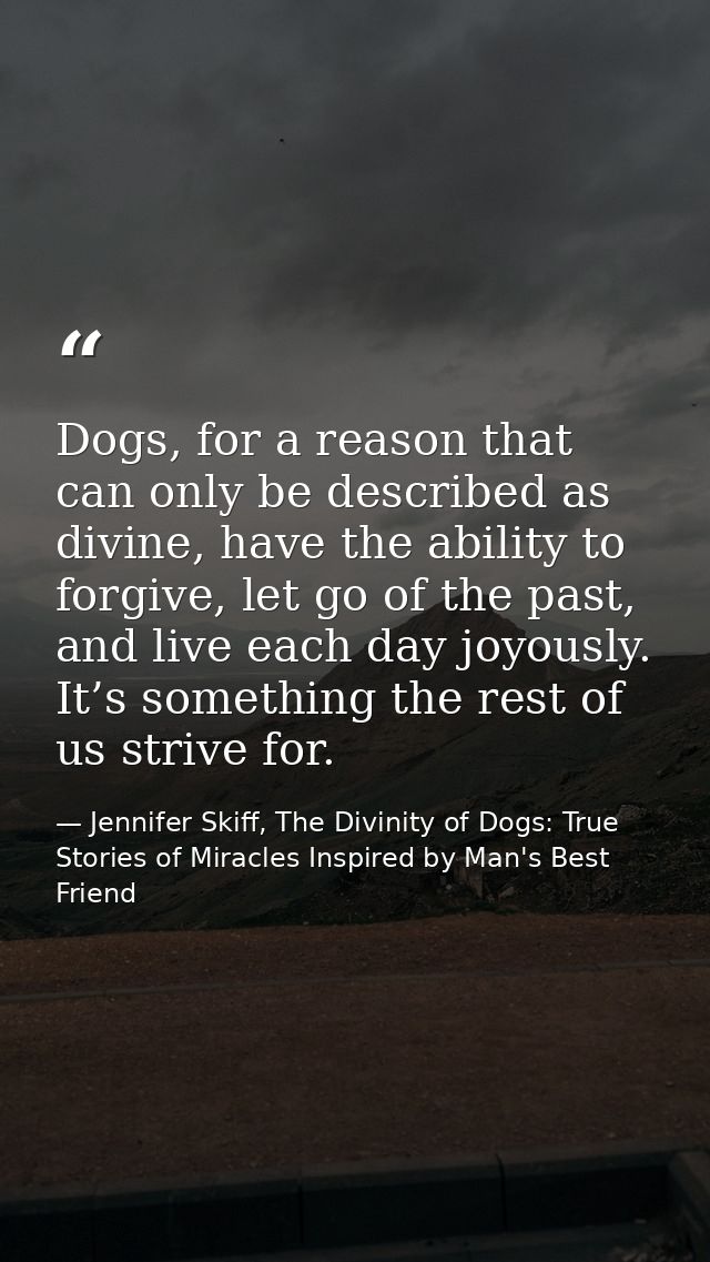 Dogs, for a reason that can only be described as divine, have the ability to forgive, let go of the past, and live each  — Jennifer Skiff, The Divinity of Dogs: True Stories of Miracles Inspired by Man's Best Friend