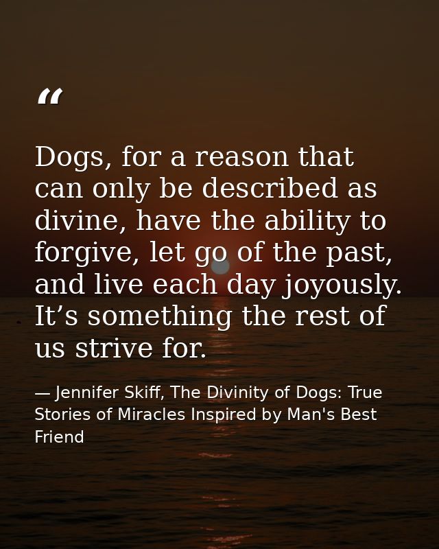 Dogs, for a reason that can only be described as divine, have the ability to forgive, let go of the past, and live each  — Jennifer Skiff, The Divinity of Dogs: True Stories of Miracles Inspired by Man's Best Friend