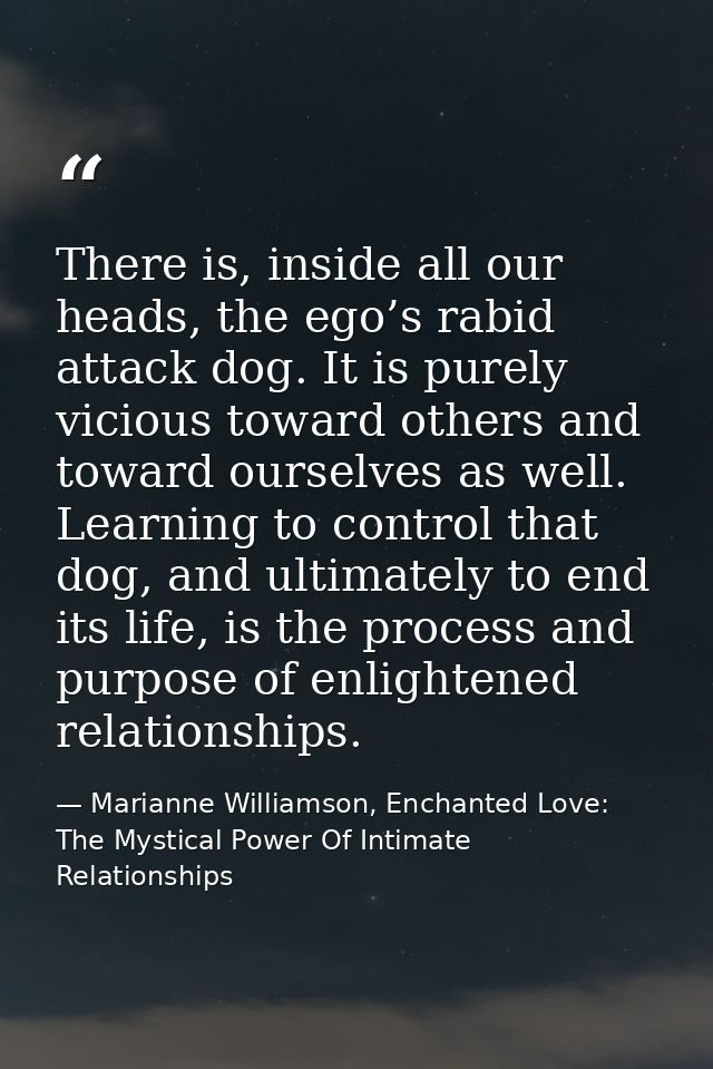 There is, inside all our heads, the ego’s rabid attack dog. It is purely vicious toward others and toward ourselves as w — Marianne Williamson, Enchanted Love: The Mystical Power Of Intimate Relationships