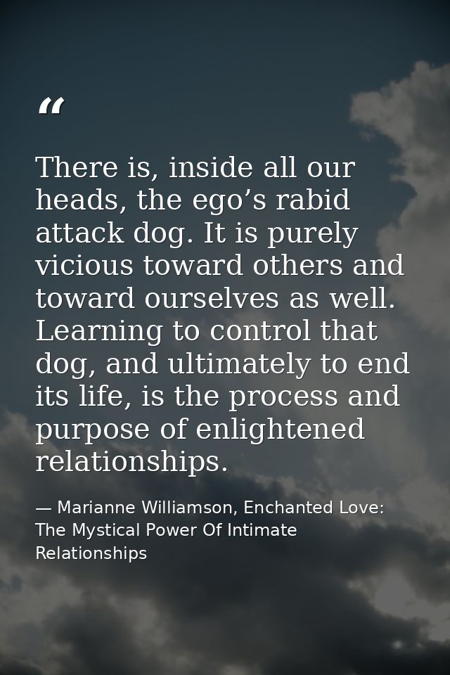 There is, inside all our heads, the ego’s rabid attack dog. It is purely vicious toward others and toward ourselves as w — Marianne Williamson, Enchanted Love: The Mystical Power Of Intimate Relationships