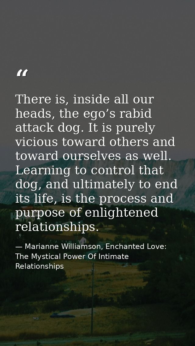 There is, inside all our heads, the ego’s rabid attack dog. It is purely vicious toward others and toward ourselves as w — Marianne Williamson, Enchanted Love: The Mystical Power Of Intimate Relationships