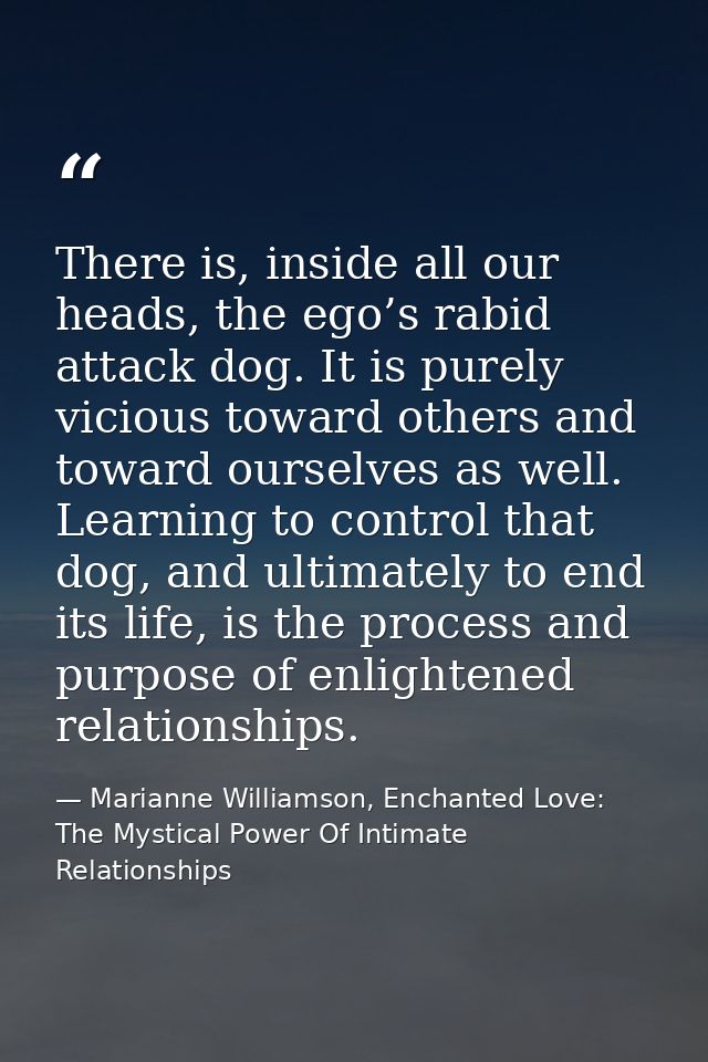 There is, inside all our heads, the ego’s rabid attack dog. It is purely vicious toward others and toward ourselves as w — Marianne Williamson, Enchanted Love: The Mystical Power Of Intimate Relationships