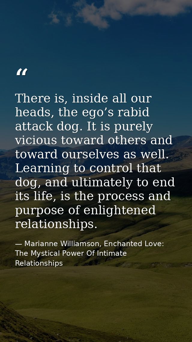 There is, inside all our heads, the ego’s rabid attack dog. It is purely vicious toward others and toward ourselves as w — Marianne Williamson, Enchanted Love: The Mystical Power Of Intimate Relationships