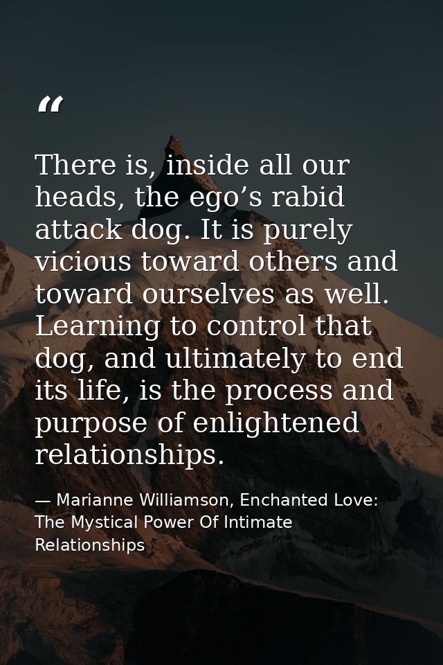 There is, inside all our heads, the ego’s rabid attack dog. It is purely vicious toward others and toward ourselves as w — Marianne Williamson, Enchanted Love: The Mystical Power Of Intimate Relationships