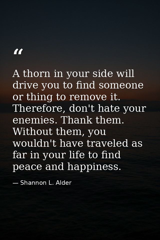 A thorn in your side will drive you to find someone or thing to remove it. Therefore, don't hate your enemies. Thank the — Shannon L. Alder