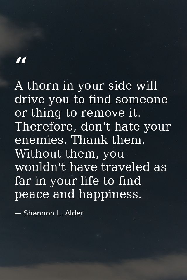 A thorn in your side will drive you to find someone or thing to remove it. Therefore, don't hate your enemies. Thank the — Shannon L. Alder