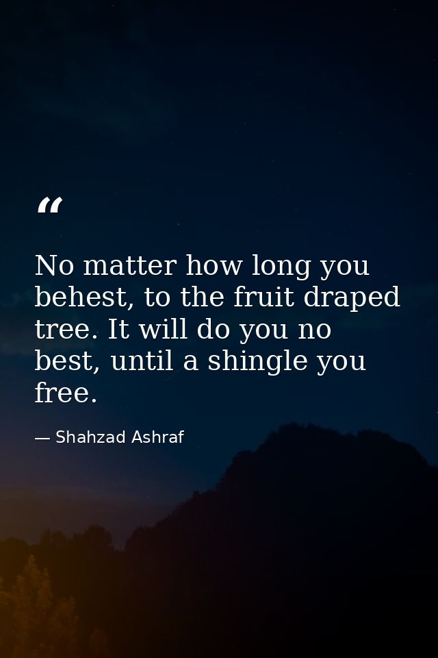 No matter how long you behest, to the fruit draped tree. It will do you no best, until a shingle you free. — Shahzad Ashraf