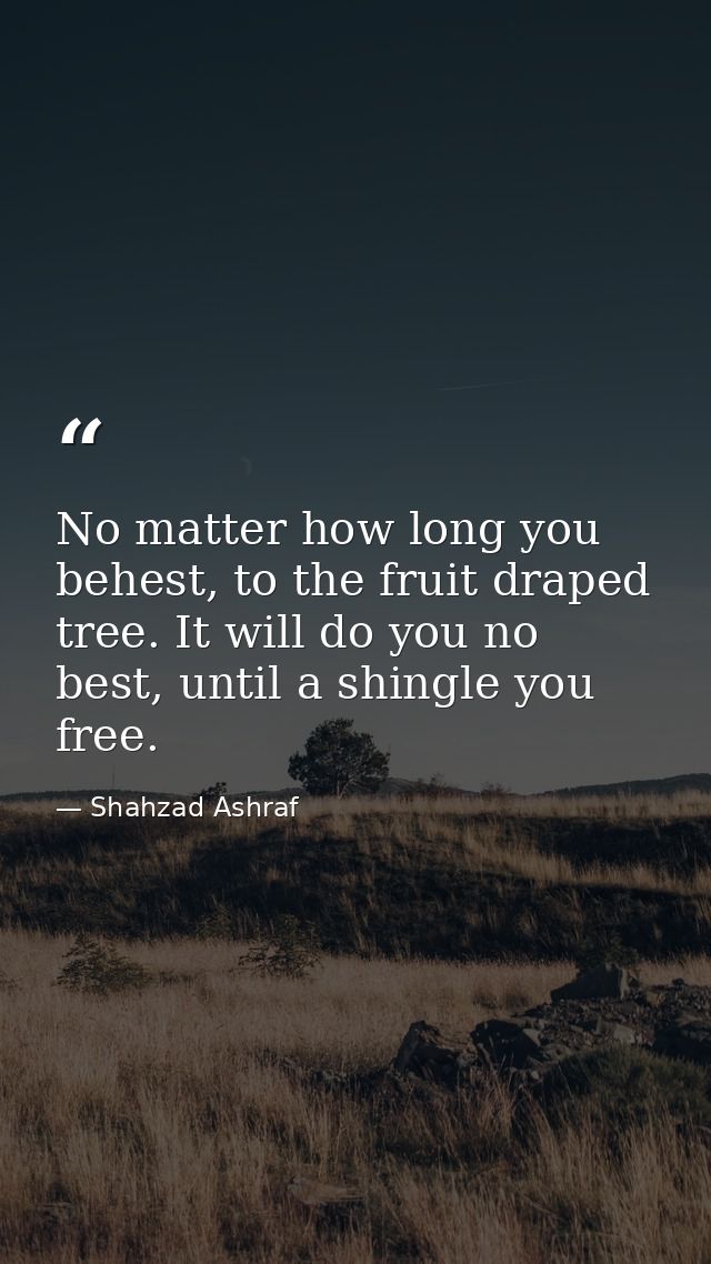 No matter how long you behest, to the fruit draped tree. It will do you no best, until a shingle you free. — Shahzad Ashraf