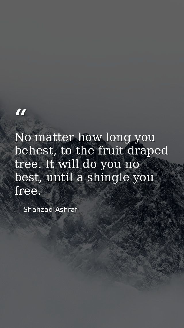 No matter how long you behest, to the fruit draped tree. It will do you no best, until a shingle you free. — Shahzad Ashraf