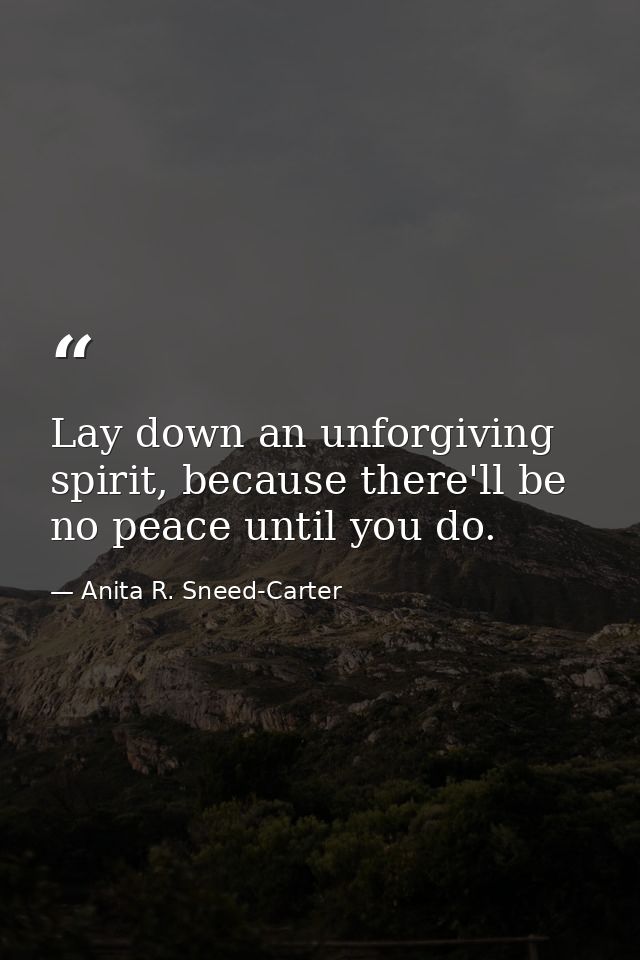 Lay down an unforgiving spirit, because there'll be no peace until you do. — Anita R. Sneed-Carter