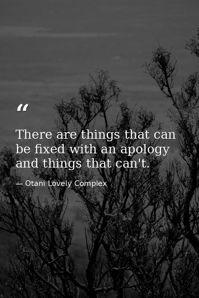 There are things that can be fixed with an apology and things that can't. — Otani Lovely Complex