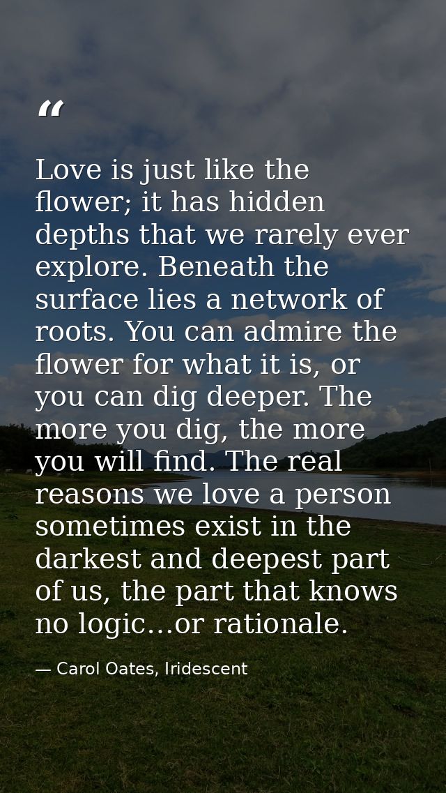 Love is just like the flower; it has hidden depths that we rarely ever explore. Beneath the surface lies a network of ro — Carol Oates, Iridescent