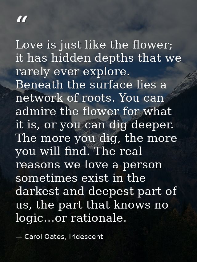 Love is just like the flower; it has hidden depths that we rarely ever explore. Beneath the surface lies a network of ro — Carol Oates, Iridescent