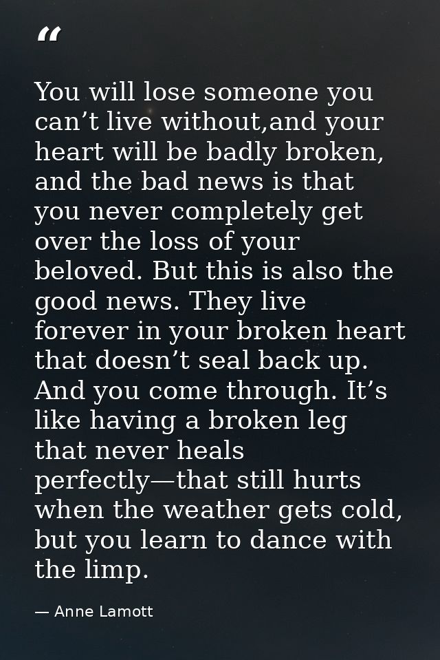 You will lose someone you can’t live without,and your heart will be badly broken, and the bad news is that you never com — Anne Lamott