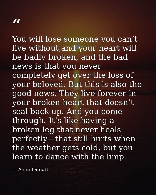 You will lose someone you can’t live without,and your heart will be badly broken, and the bad news is that you never com — Anne Lamott