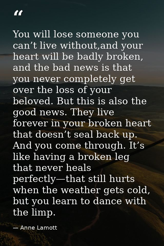 You will lose someone you can’t live without,and your heart will be badly broken, and the bad news is that you never com — Anne Lamott