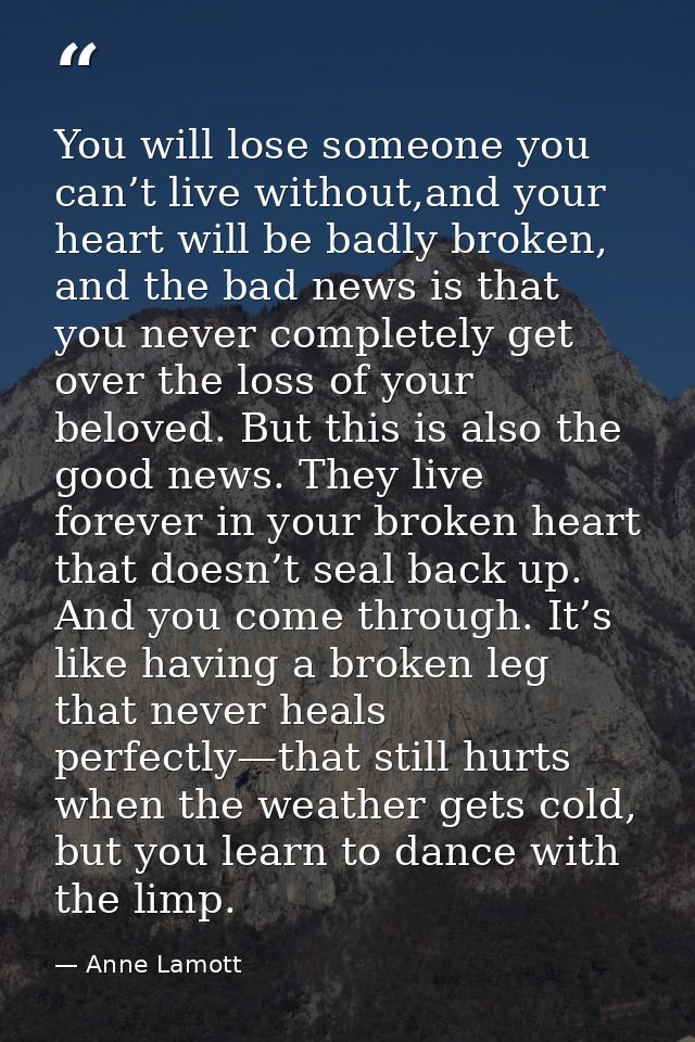 You will lose someone you can’t live without,and your heart will be badly broken, and the bad news is that you never com — Anne Lamott