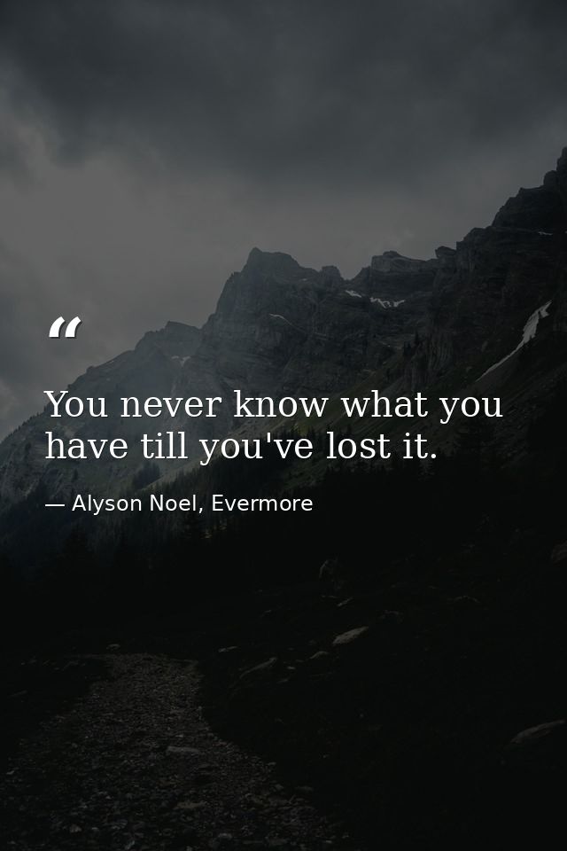 You never know what you have till you've lost it. — Alyson Noel, Evermore