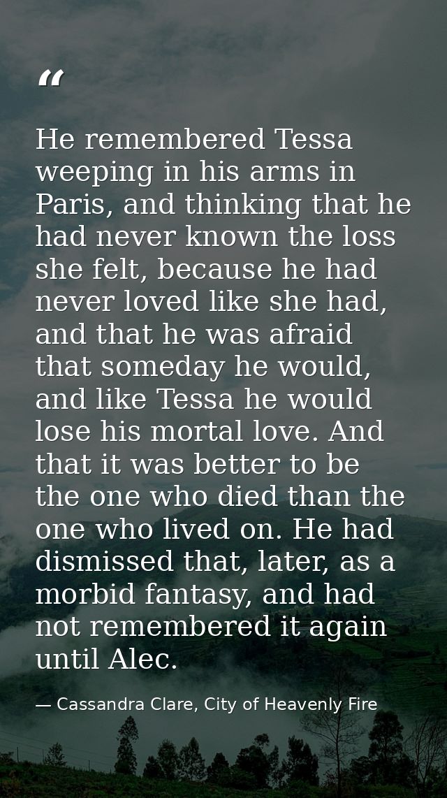 He remembered Tessa weeping in his arms in Paris, and thinking that he had never known the loss she felt, because he had — Cassandra Clare, City of Heavenly Fire