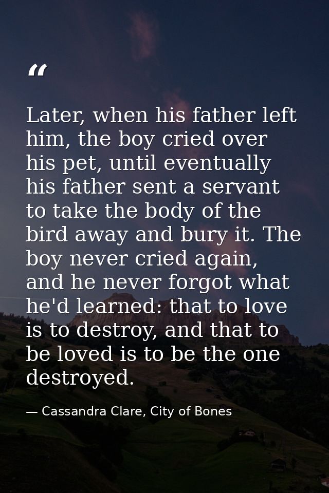 Later, when his father left him, the boy cried over his pet, until eventually his father sent a servant to take the body — Cassandra Clare, City of Bones
