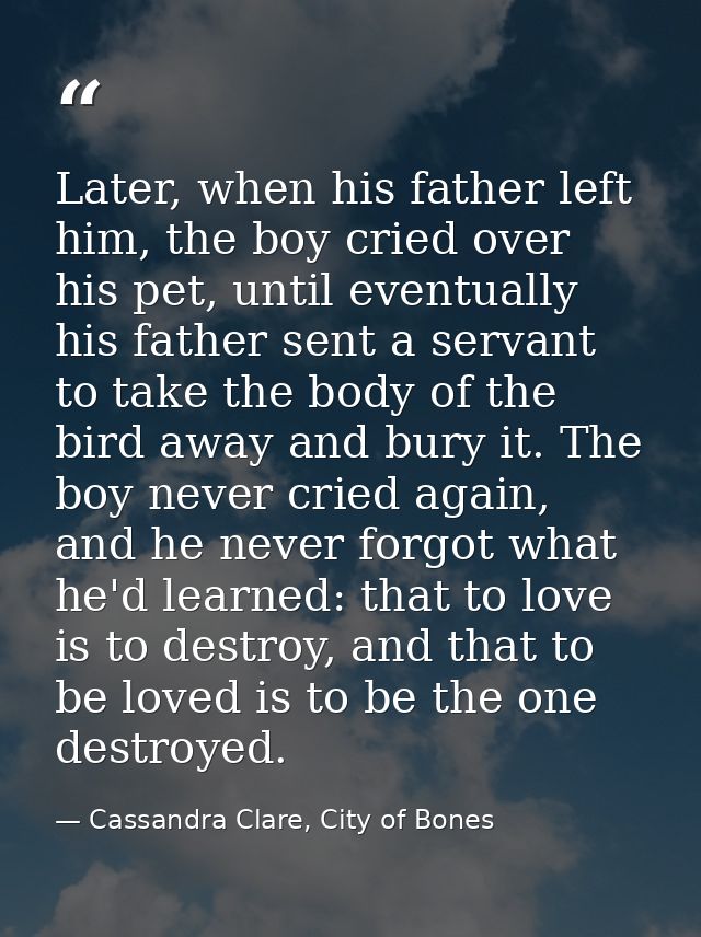 Later, when his father left him, the boy cried over his pet, until eventually his father sent a servant to take the body — Cassandra Clare, City of Bones