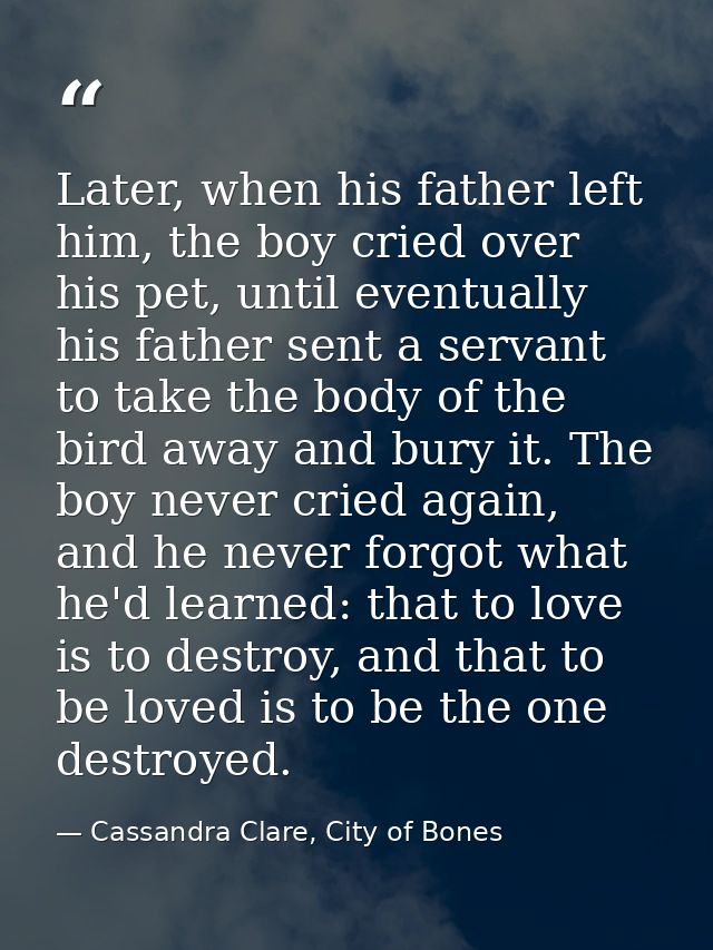 Later, when his father left him, the boy cried over his pet, until eventually his father sent a servant to take the body — Cassandra Clare, City of Bones