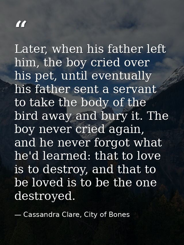 Later, when his father left him, the boy cried over his pet, until eventually his father sent a servant to take the body — Cassandra Clare, City of Bones