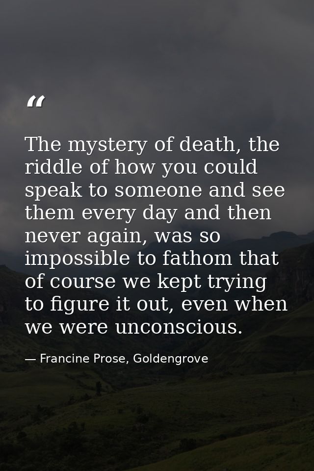 The mystery of death, the riddle of how you could speak to someone and see them every day and then never again, was so i — Francine Prose, Goldengrove