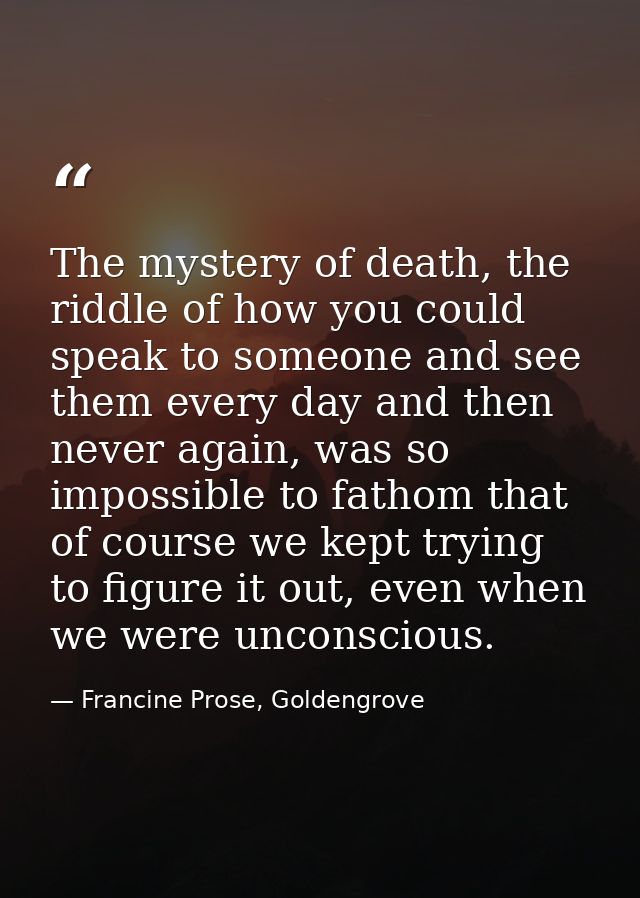 The mystery of death, the riddle of how you could speak to someone and see them every day and then never again, was so i — Francine Prose, Goldengrove
