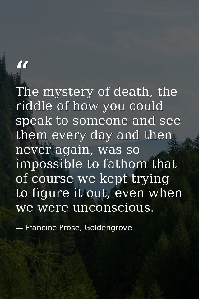 The mystery of death, the riddle of how you could speak to someone and see them every day and then never again, was so i — Francine Prose, Goldengrove