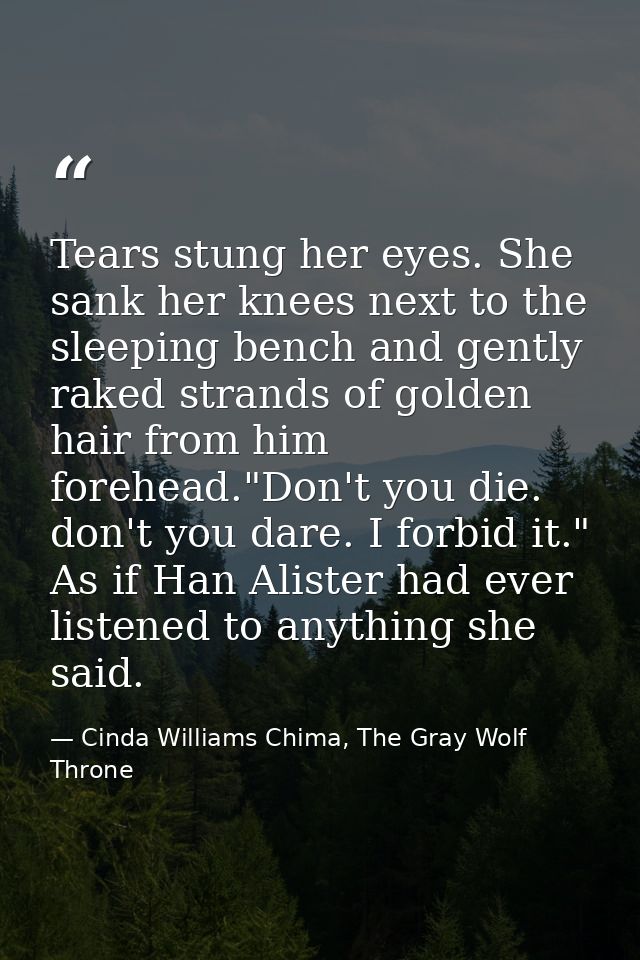 Tears stung her eyes. She sank her knees next to the sleeping bench and gently raked strands of golden hair from him for — Cinda Williams Chima, The Gray Wolf Throne