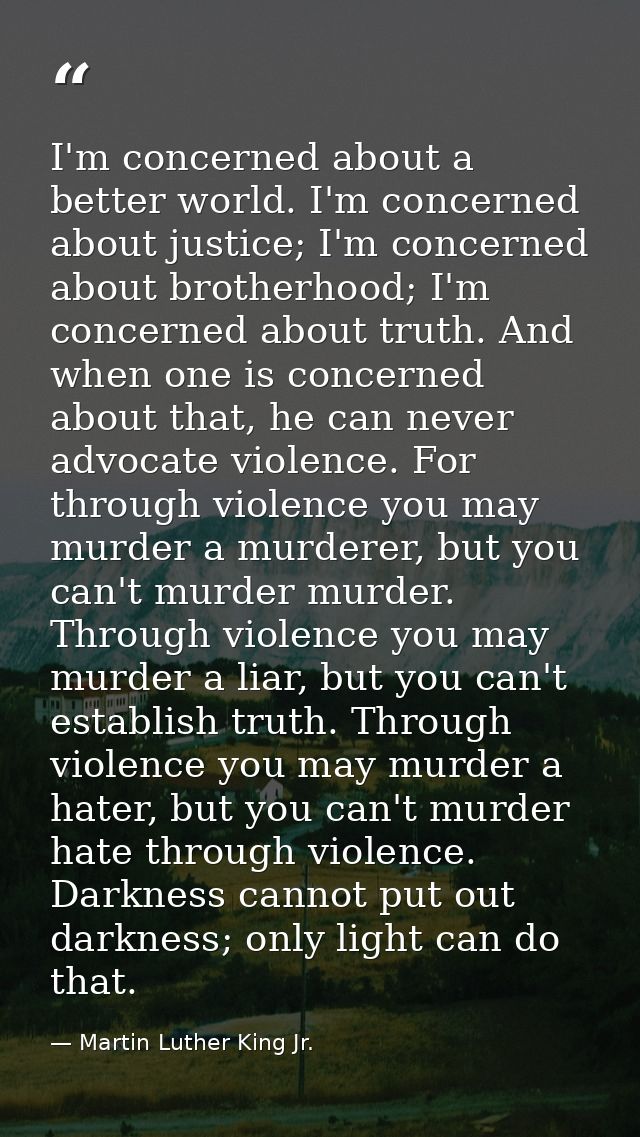 I'm concerned about a better world. I'm concerned about justice; I'm concerned about brotherhood; I'm concerned about tr — Martin Luther King Jr.