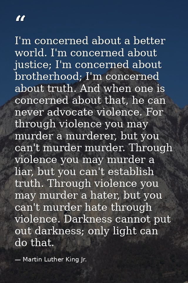 I'm concerned about a better world. I'm concerned about justice; I'm concerned about brotherhood; I'm concerned about tr — Martin Luther King Jr.