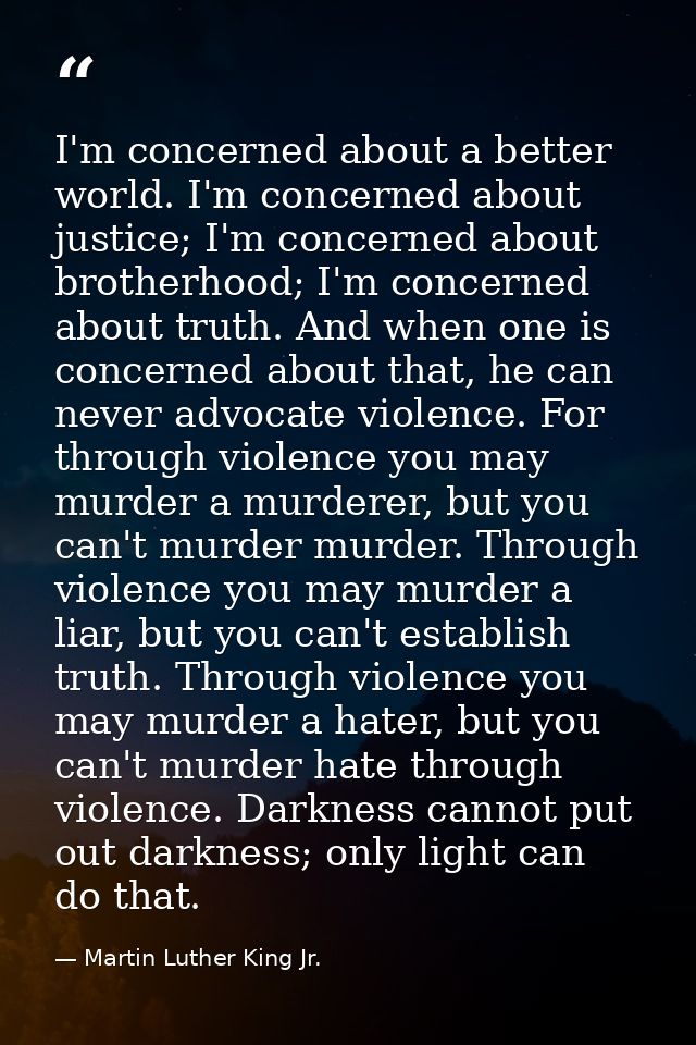 I'm concerned about a better world. I'm concerned about justice; I'm concerned about brotherhood; I'm concerned about tr — Martin Luther King Jr.