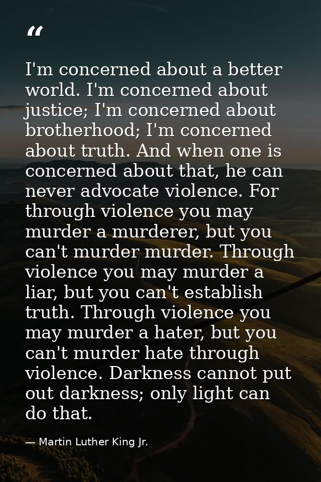 I'm concerned about a better world. I'm concerned about justice; I'm concerned about brotherhood; I'm concerned about tr — Martin Luther King Jr.